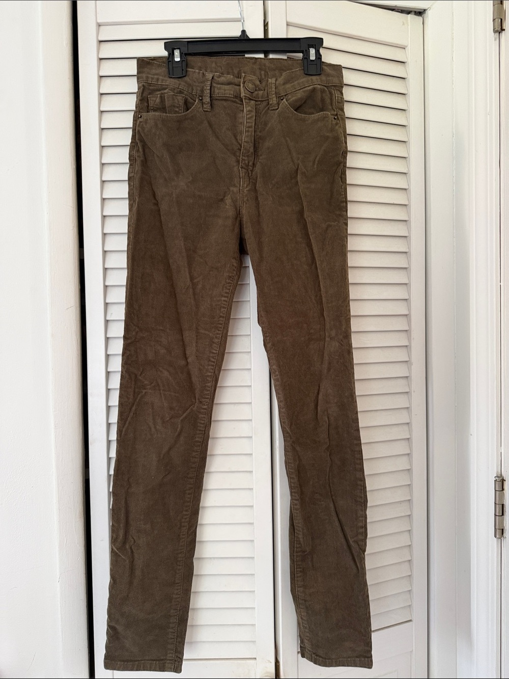 BDG Men's Corduroy Pants in Olive-Brown